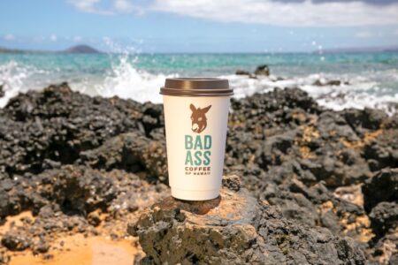 Bad Ass Coffee of Hawaii cup on rocks with sea in background